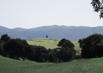La Pitigliano – Orbetello ; viaggio a piedi dalla Piccola Gerusalemme alla Feniglia